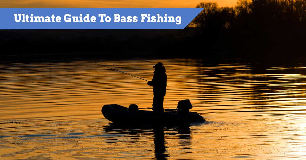 The Ultimate Guide to Bass Fishing: Techniques, Tips, and Apparel -  elitefishingoutlet